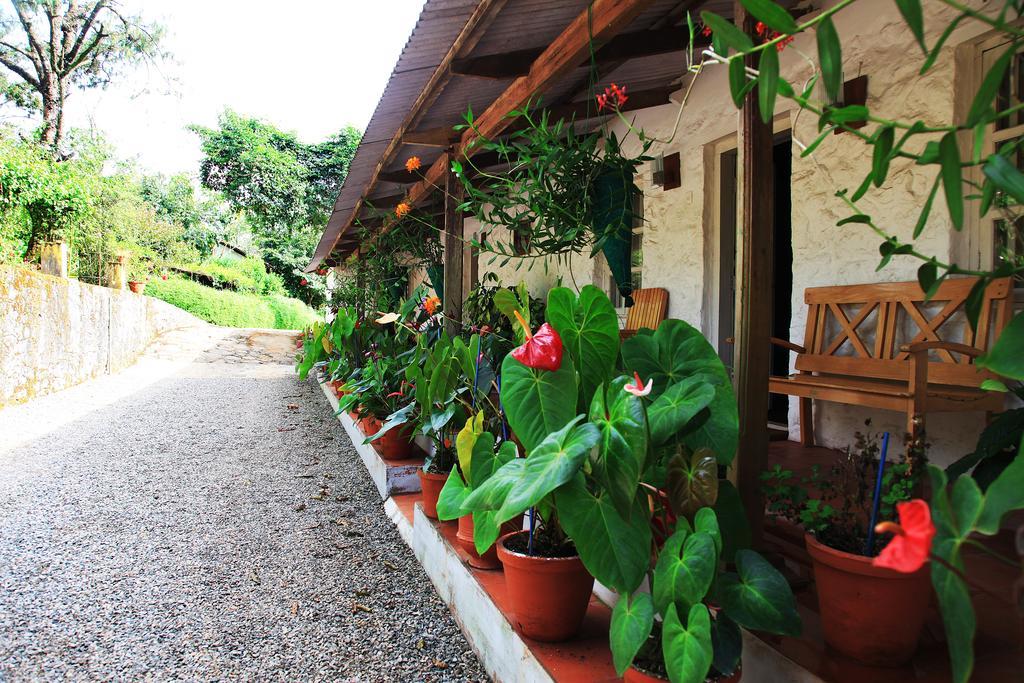 Vandanmedu Thekkady Kalarickal Heritage Bungalow المظهر الخارجي الصورة