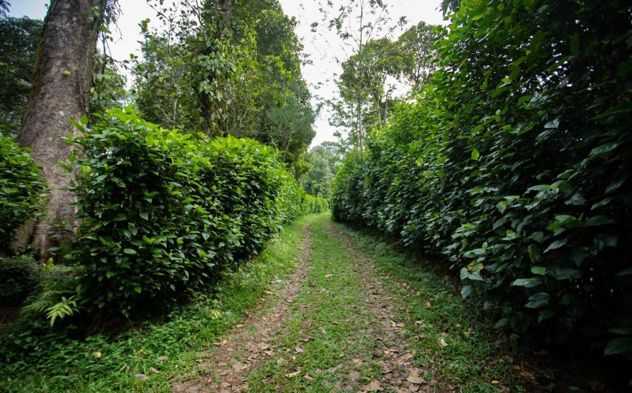 Vandanmedu Thekkady Kalarickal Heritage Bungalow المظهر الخارجي الصورة